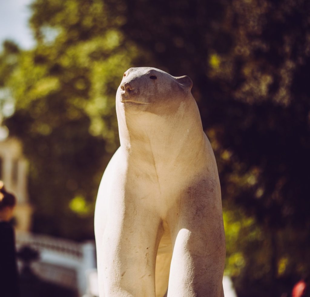 Ours Pompon à Dijon