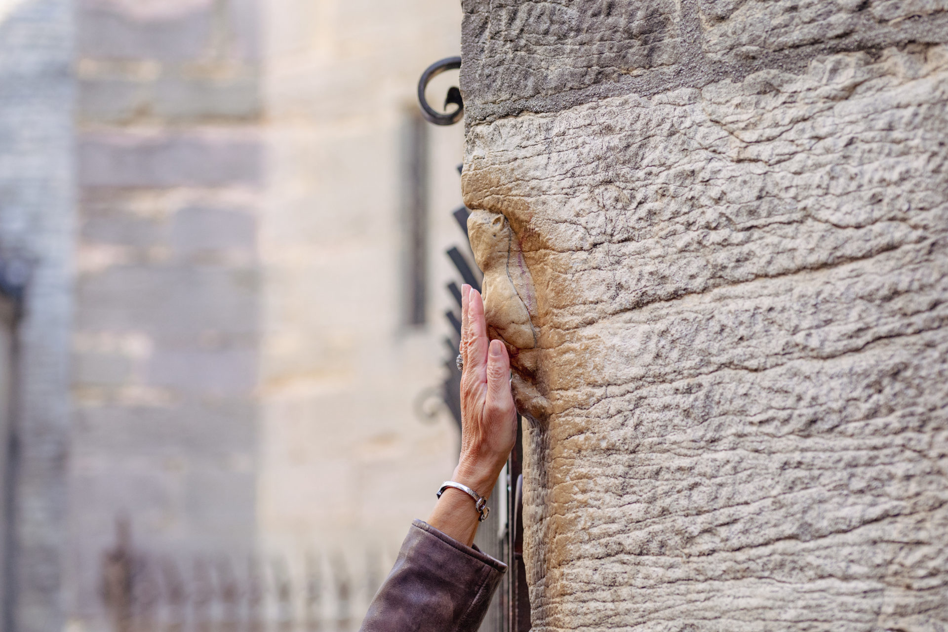 Toucher la chouette à Dijon